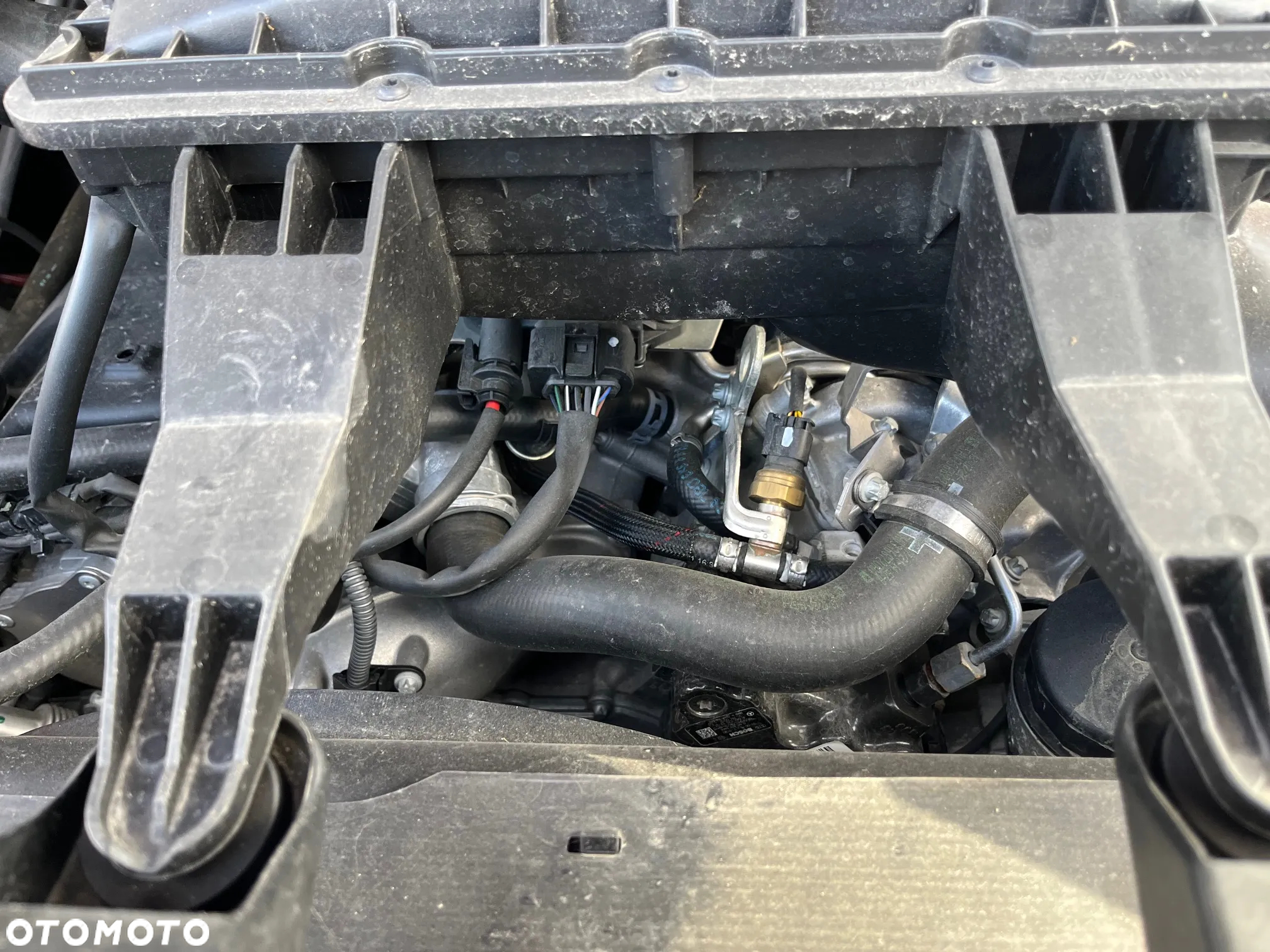Mercedes-Benz Sprinter 519 V6 10 palet - 9
