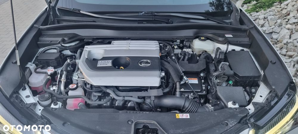Lexus UX 250h F Sport 2WD - 14