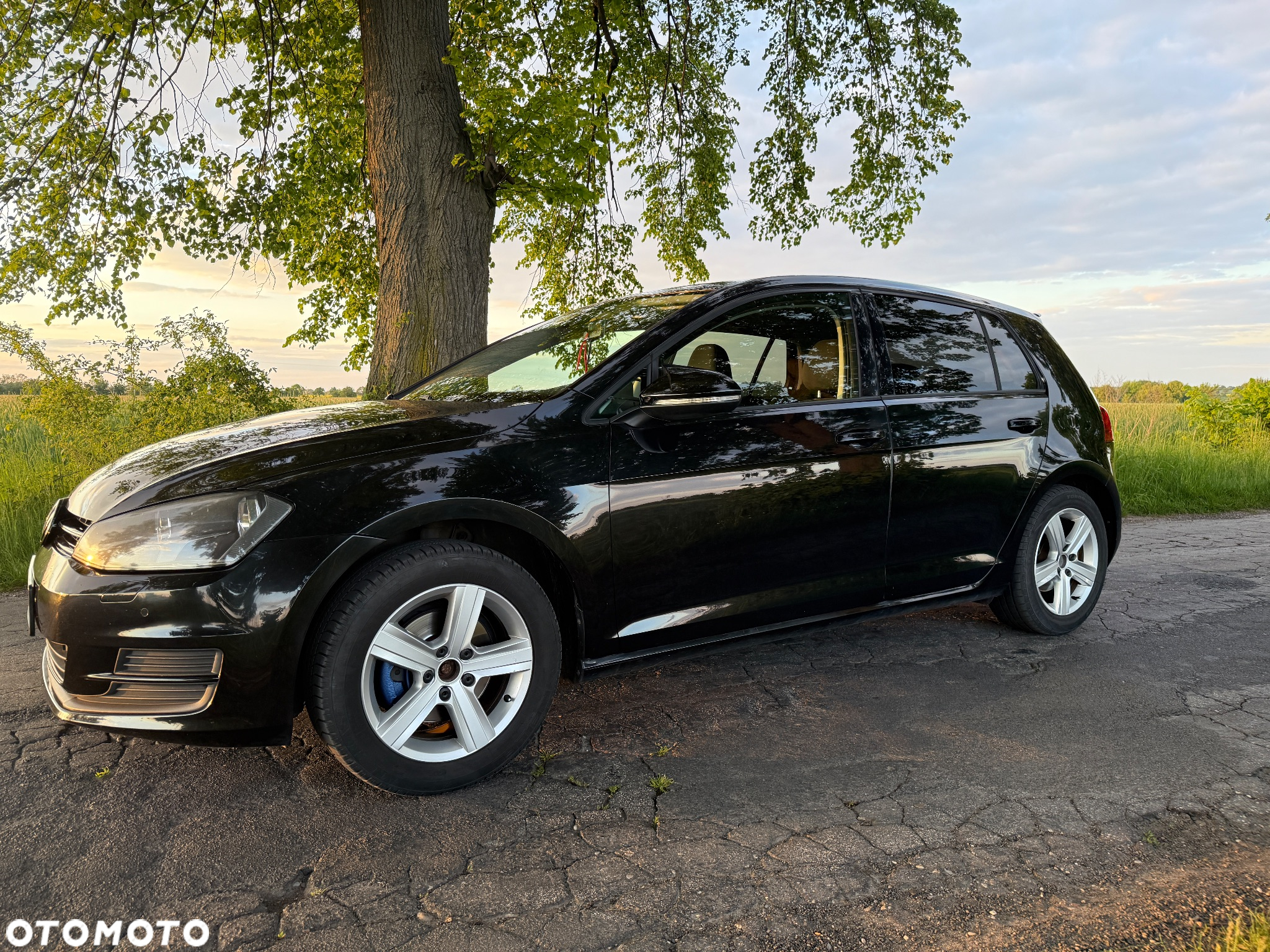 Volkswagen Golf 1.6 TDI DPF Comfortline - 4