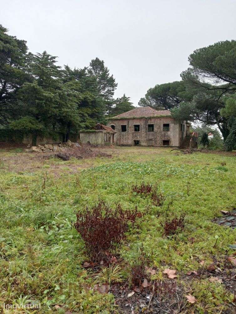 Terreno com 4.404m2 - Grande imagem: 2/8