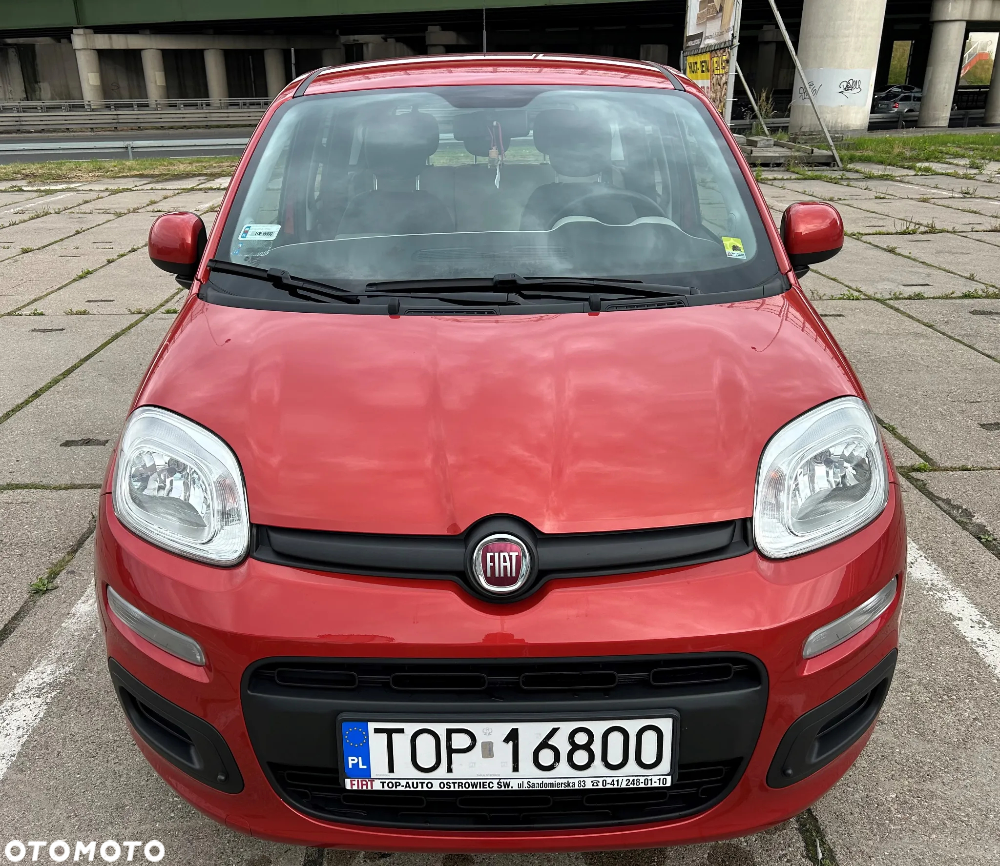 Fiat Panda 1.2 Lounge - 2