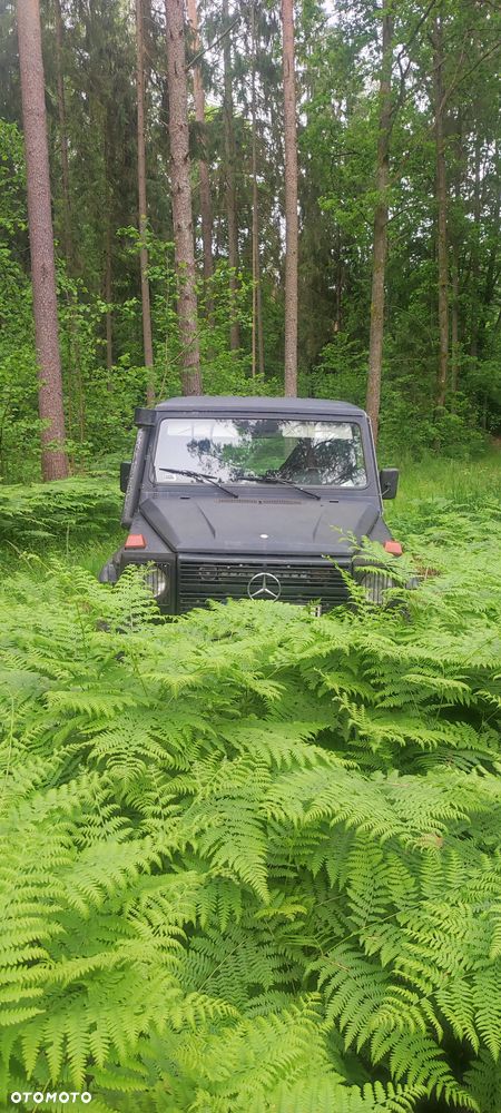 Mercedes-Benz Klasa G - 1