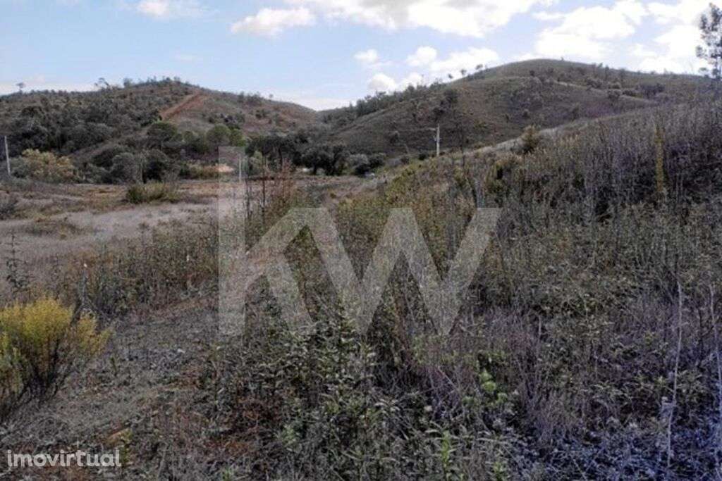 Cultura Arvense - Grande imagem: 2/10