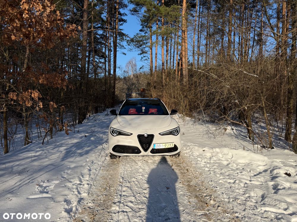 Alfa Romeo Stelvio 2.0 Turbo 16V AT8-Q4 Ti - 3