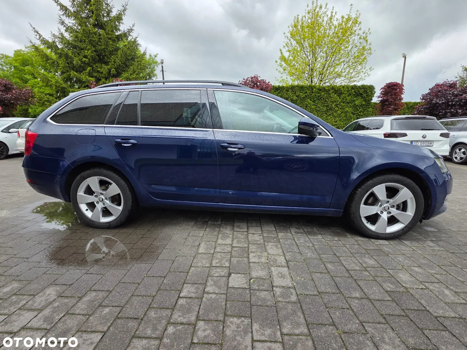 Skoda Octavia - 4