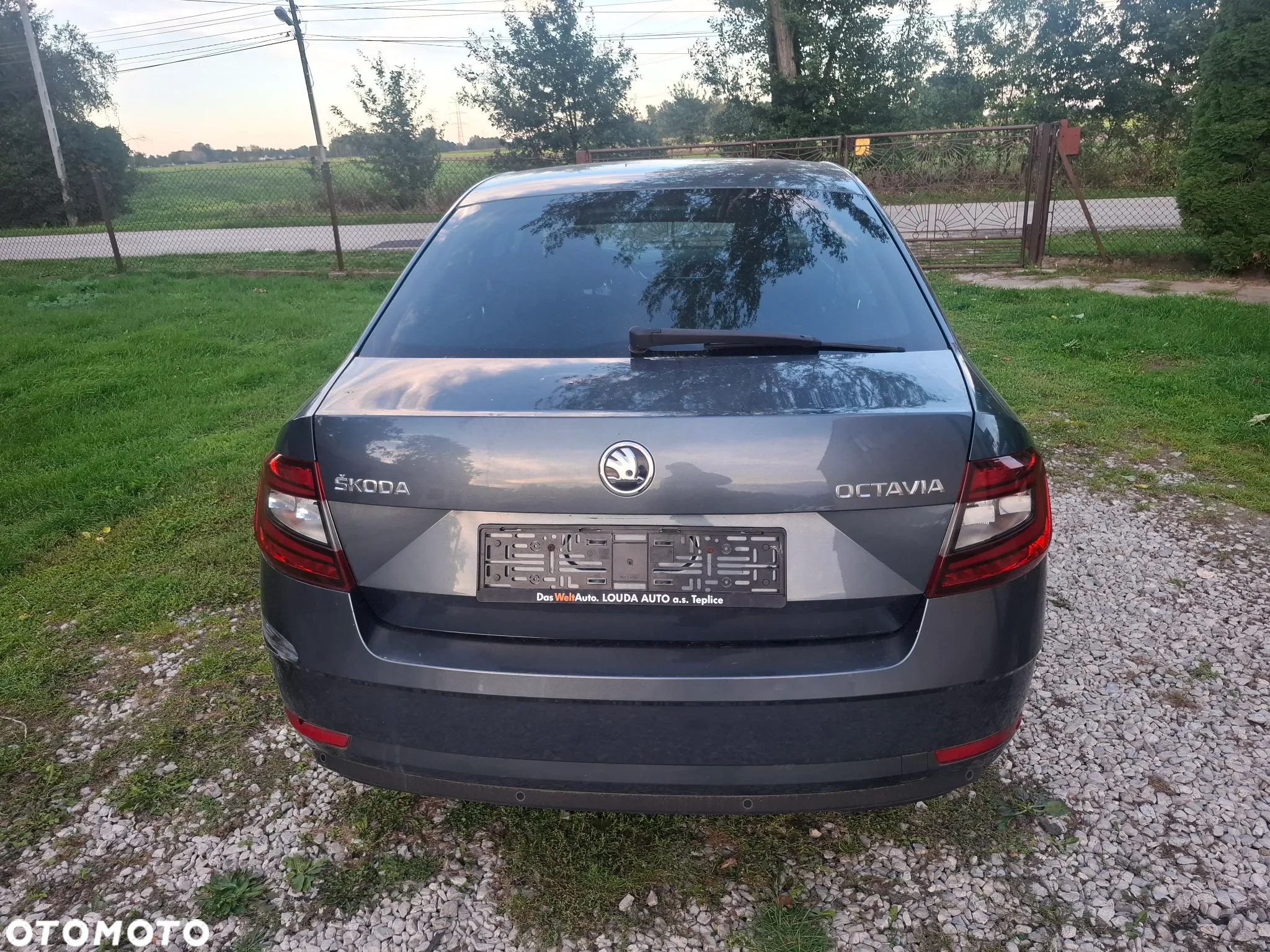 Skoda Octavia - 7