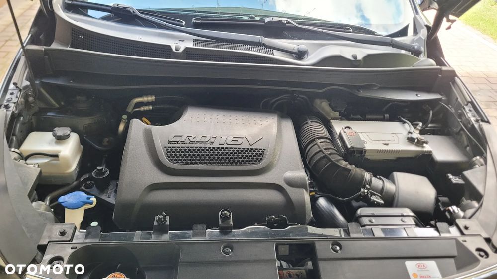 Kia Sportage - 35