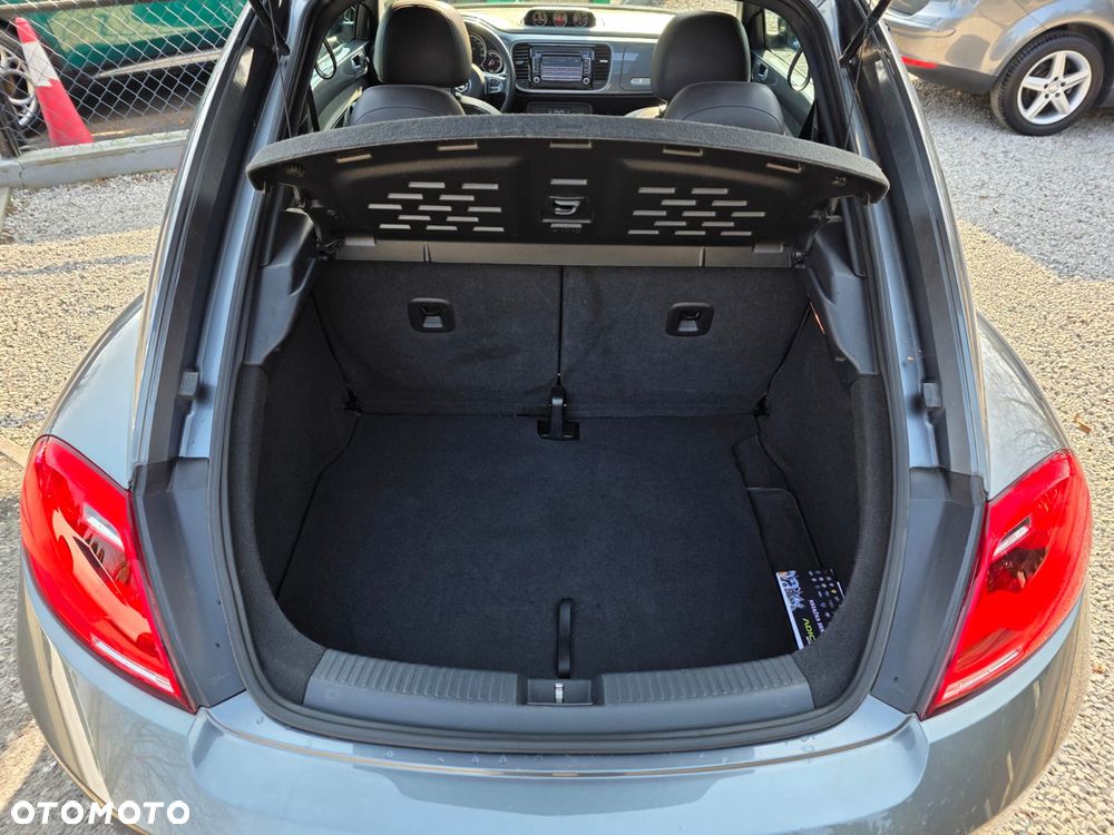 Volkswagen Beetle - 22