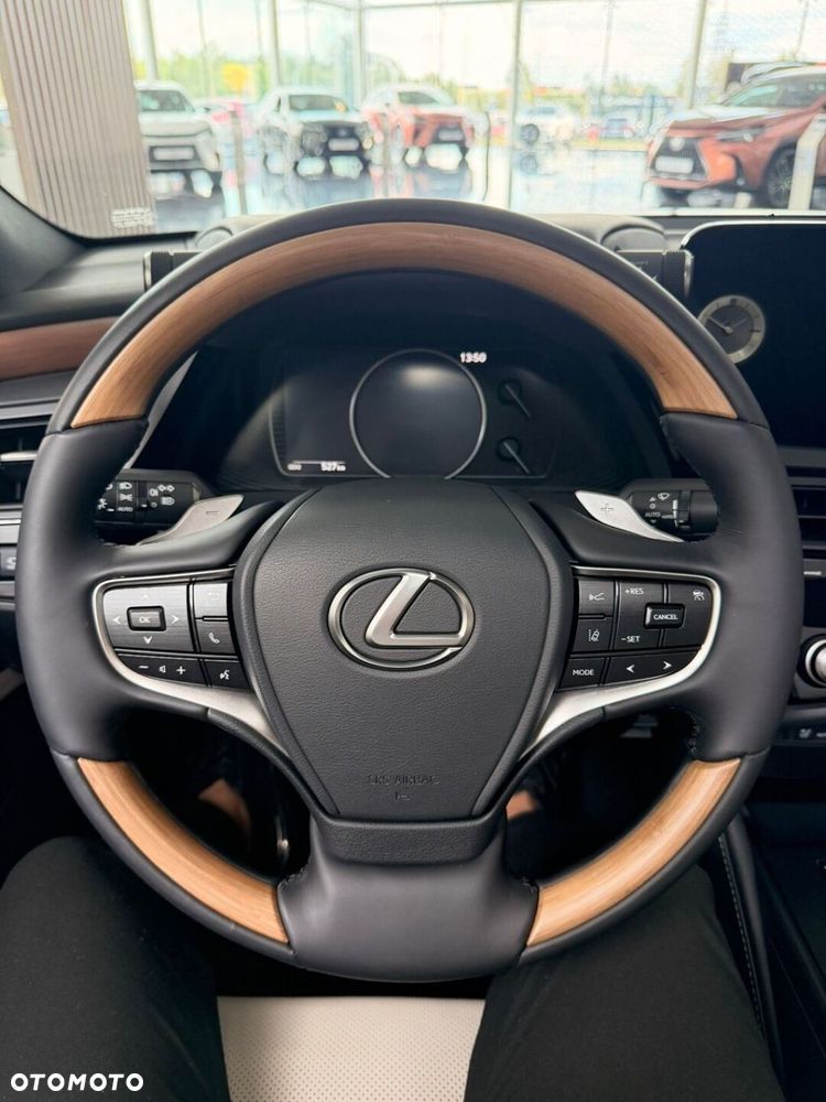 Lexus ES 300h Omotenashi - 10