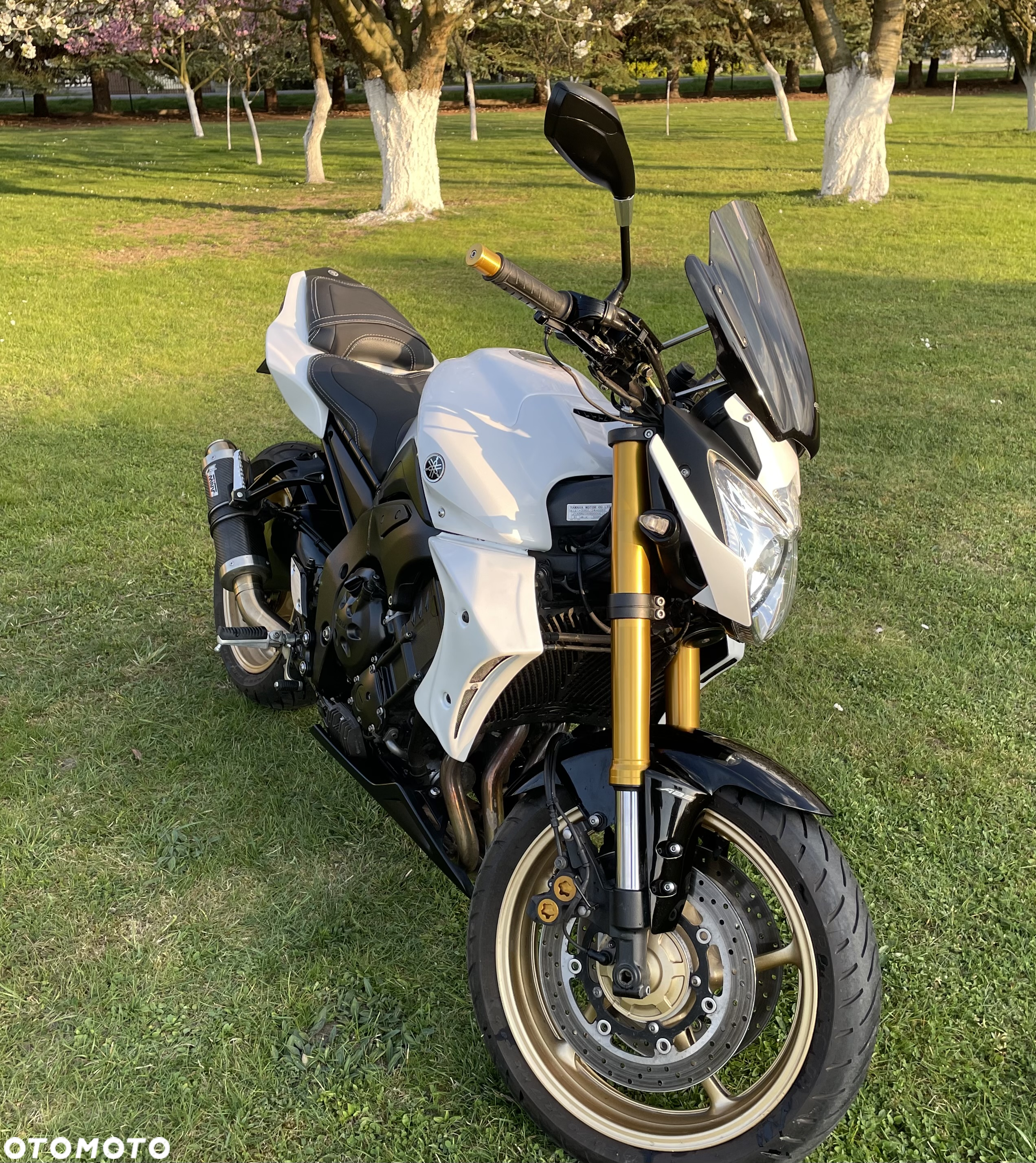 Yamaha FZ8 - 2