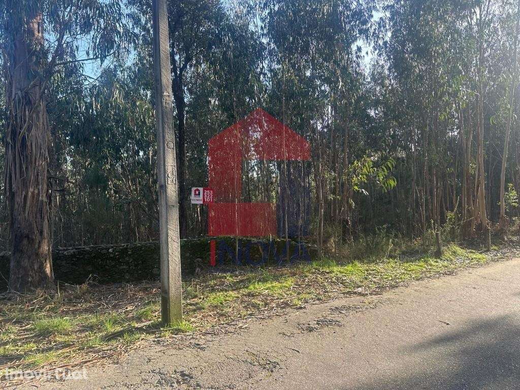 Terreno agrícola de produção, Portela das Cabras - Grande imagem: 3/19