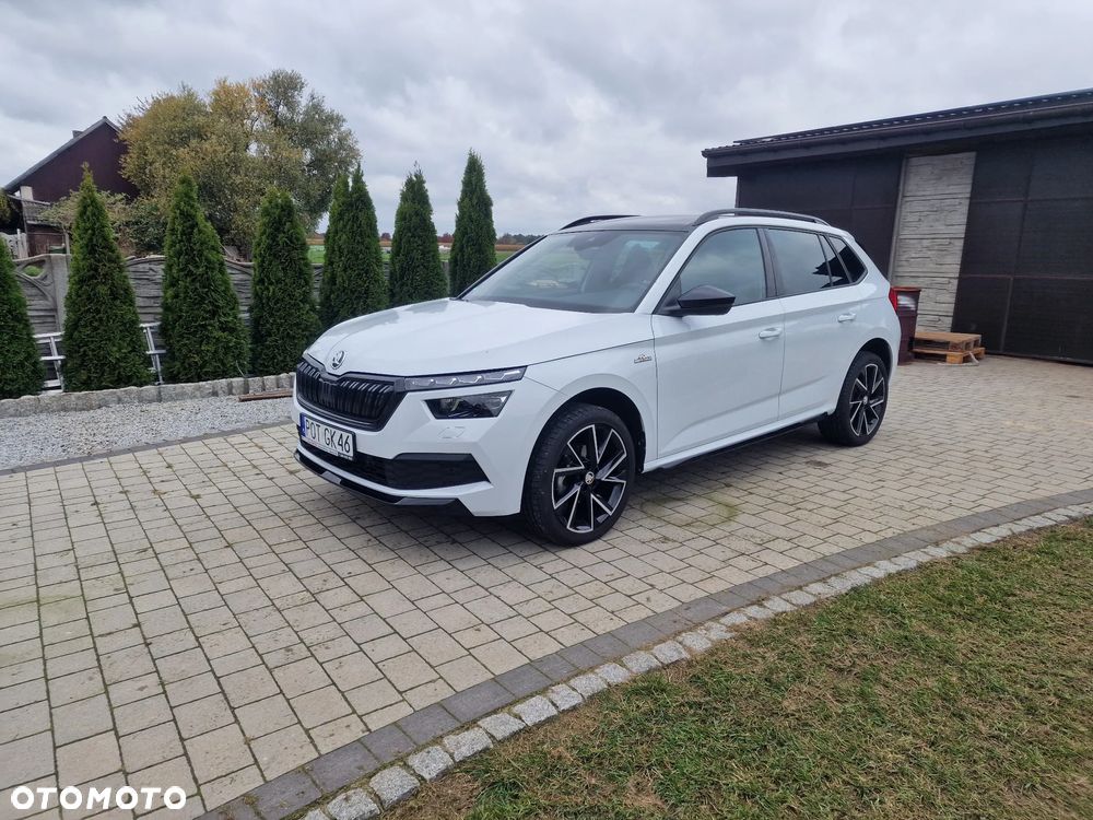 Skoda Kamiq - 1