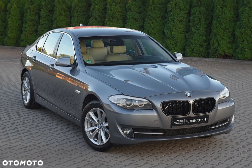 BMW Seria 5 520d - 21