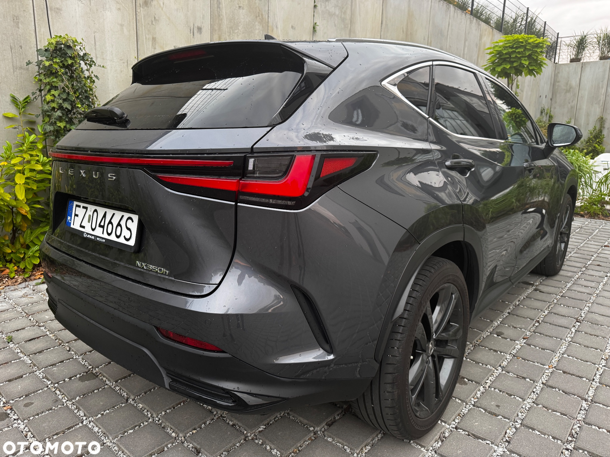 Lexus NX - 4