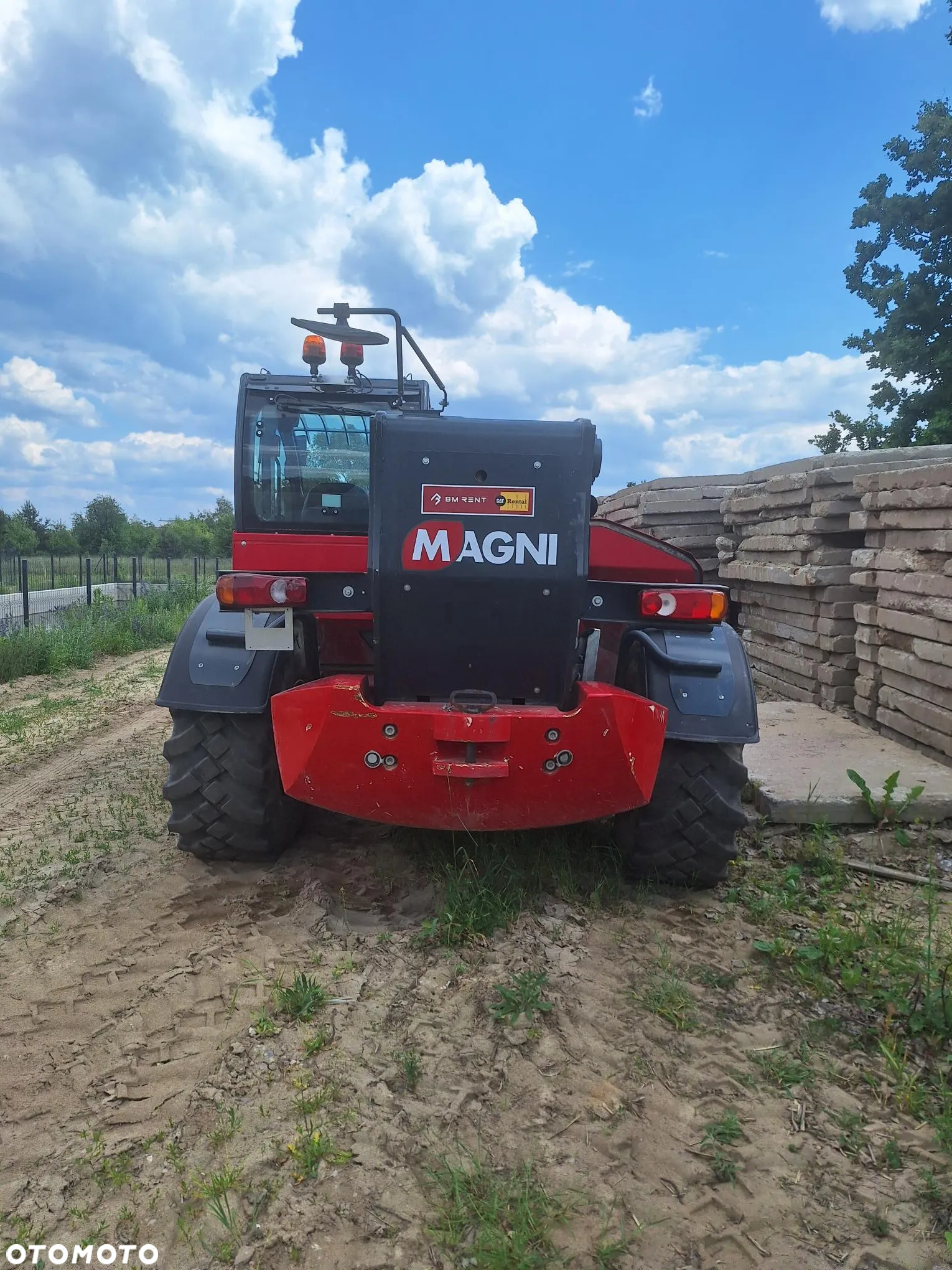 Magni Magni 5.5,19P (5.5T,19M) - 12