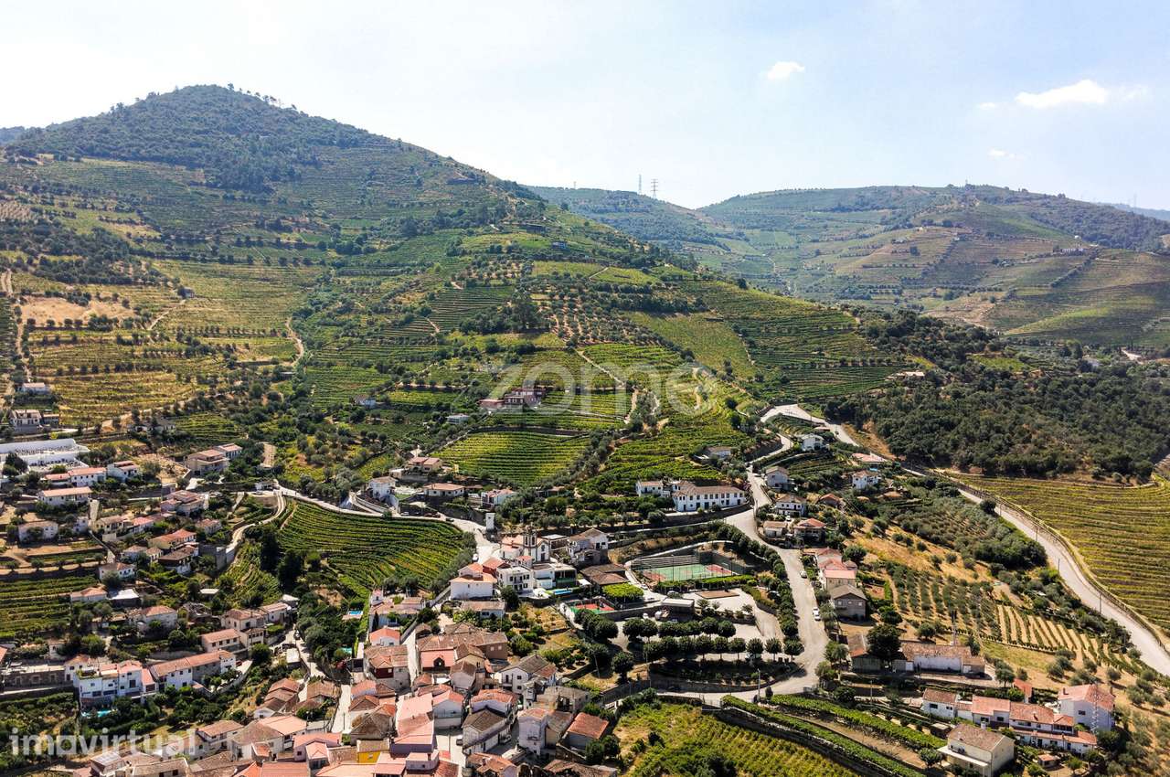 “Quinta Casa do Cruzeiro” com vinha - Douro - Folgosa - Grande imagem: 4/30