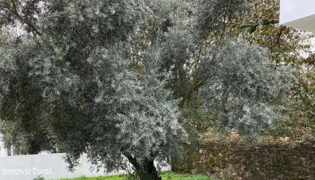 Moradia para venda, Campos, Vila Nova de Cerveira - Grande imagem: 3/15