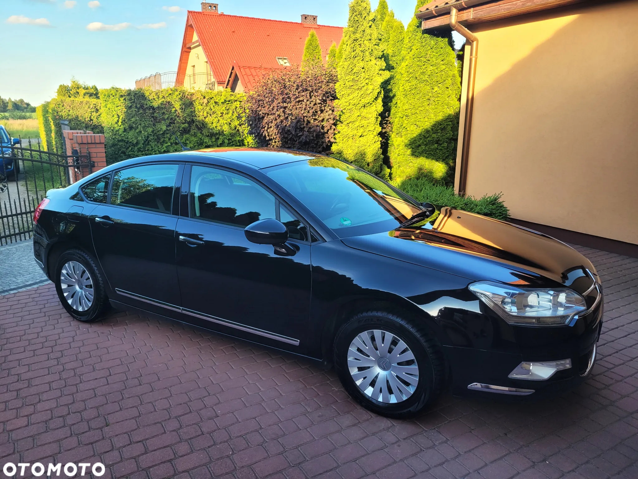 Citroën C5 2.0i 16V Dynamique - 8