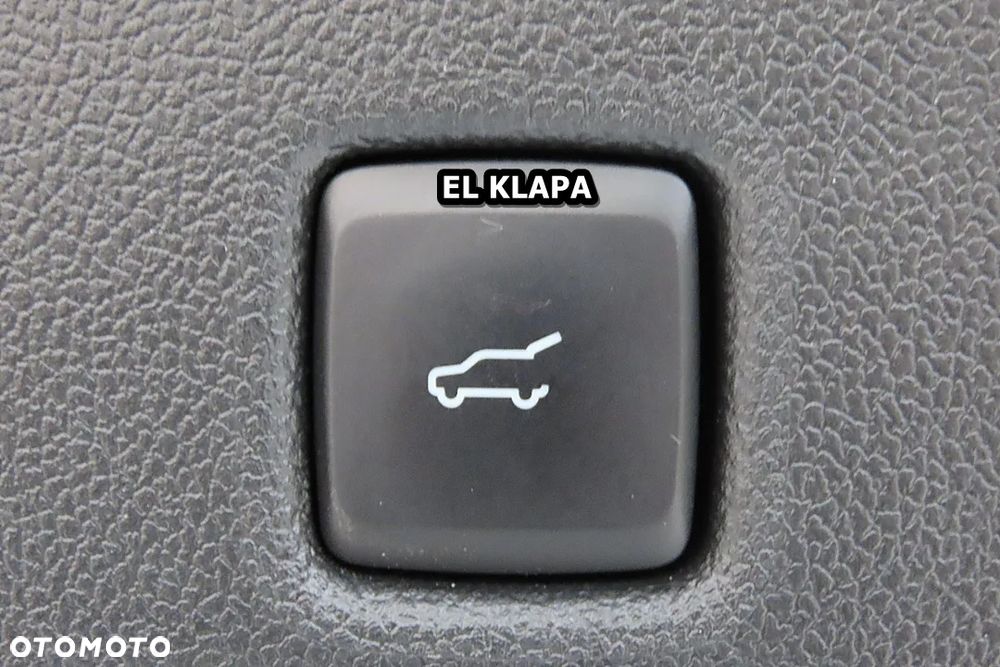 Ford Kuga 2.0 EcoBlue 4x4 ST-LINE X - 20