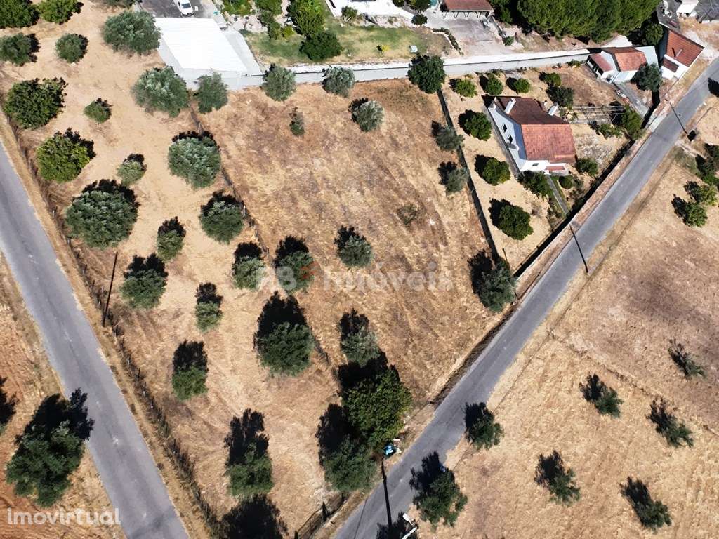 Terreno urbano com 1600m² - Peralva, concelho de Tomar - Grande imagem: 5/9
