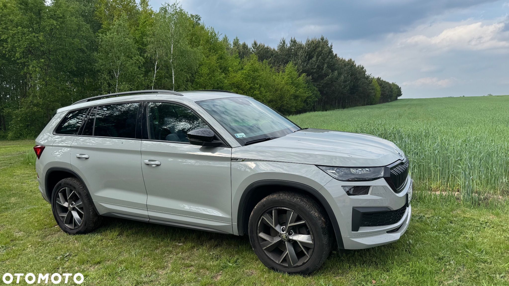 Skoda Kodiaq 2.0 TSI 4x4 Sportline DSG 7os - 1
