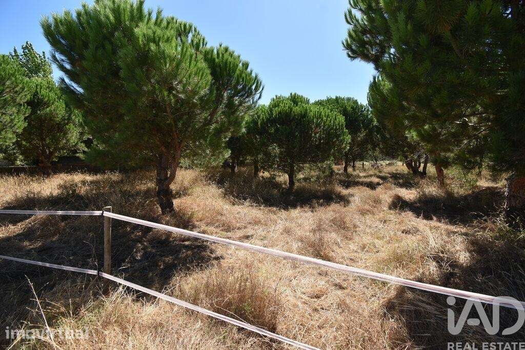 Terreno para construção em Marinha Grande - Grande imagem: 5/5