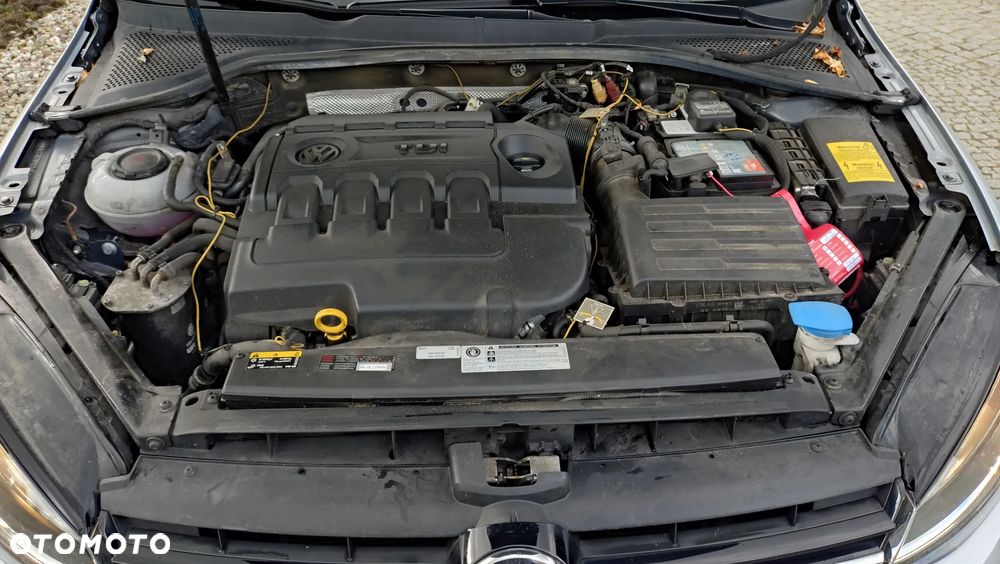 Volkswagen Golf 1.6 TDI BMT Highline DSG - 24