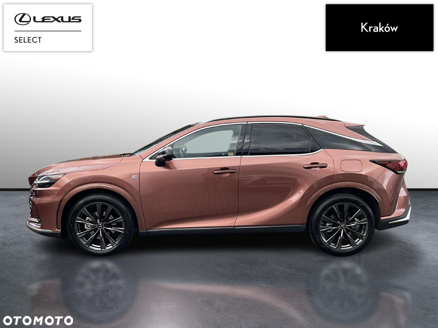 Lexus RX - 2