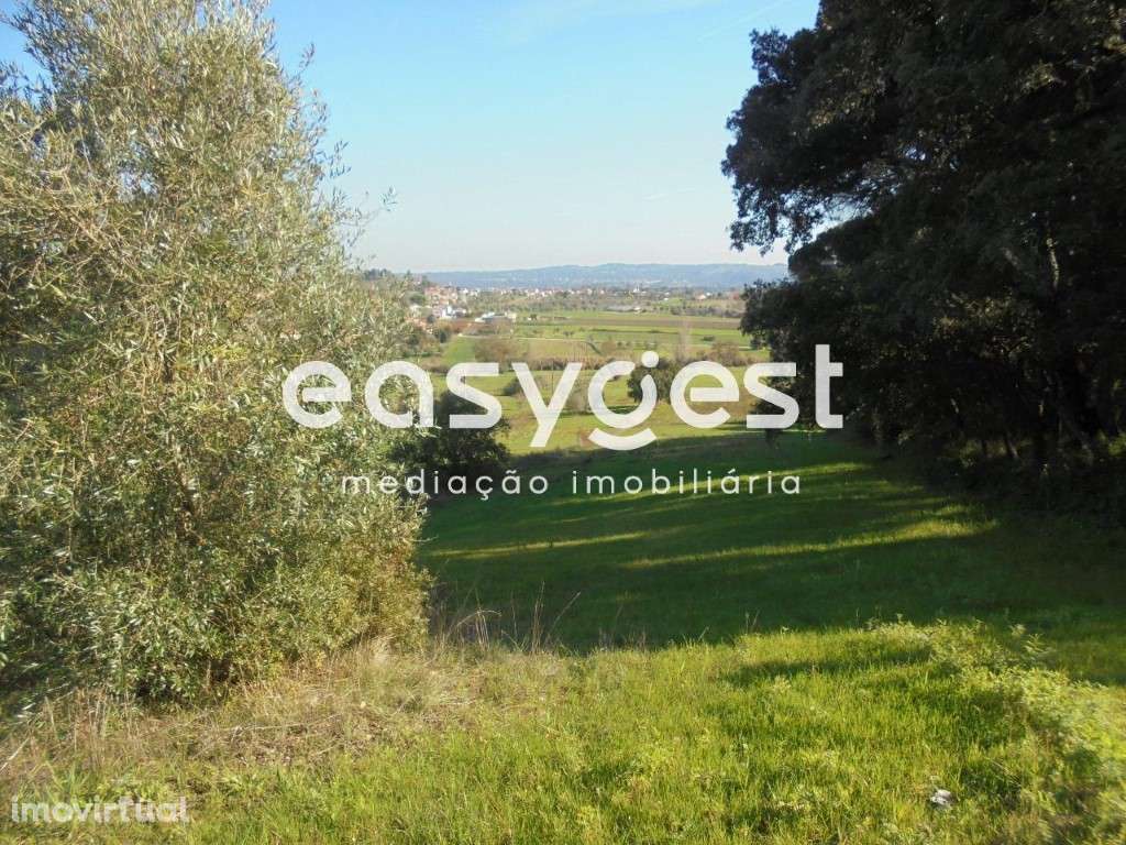 Terreno Urbano para construção em São Miguel - Tomar... - Grande imagem: 5/11