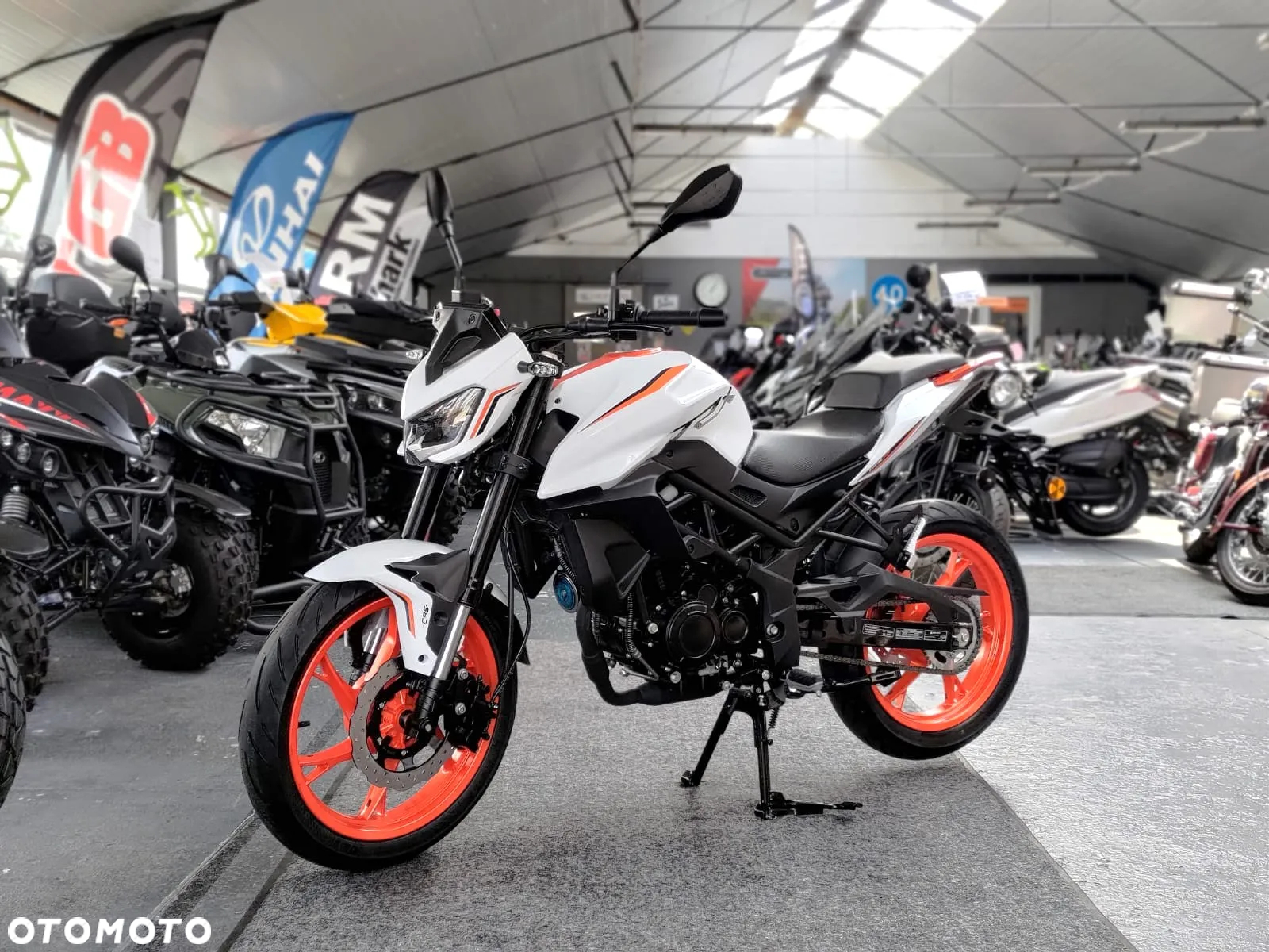 QJMOTOR TRX 125 - 9
