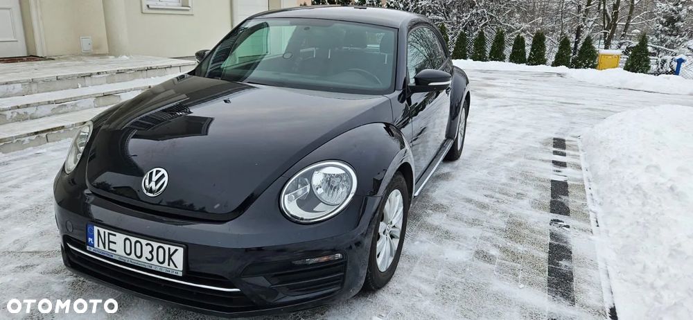 Volkswagen Beetle - 1
