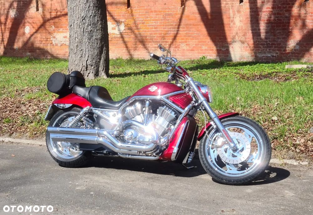 Harley-Davidson Softail V-Rod - 1