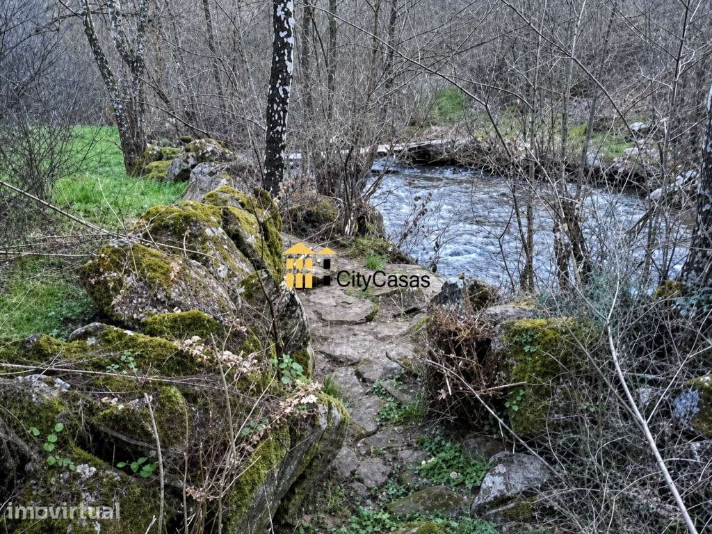 2 Moinhos c/ Terreno 1500 m2 | Ecovia do Rabaçal - Grande imagem: 3/9