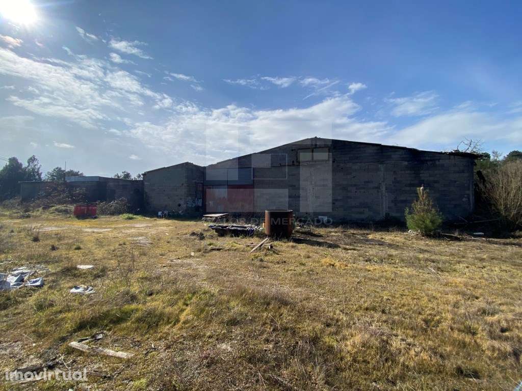 ARMAZÉM - SERNANCELHE - Grande imagem: 3/9