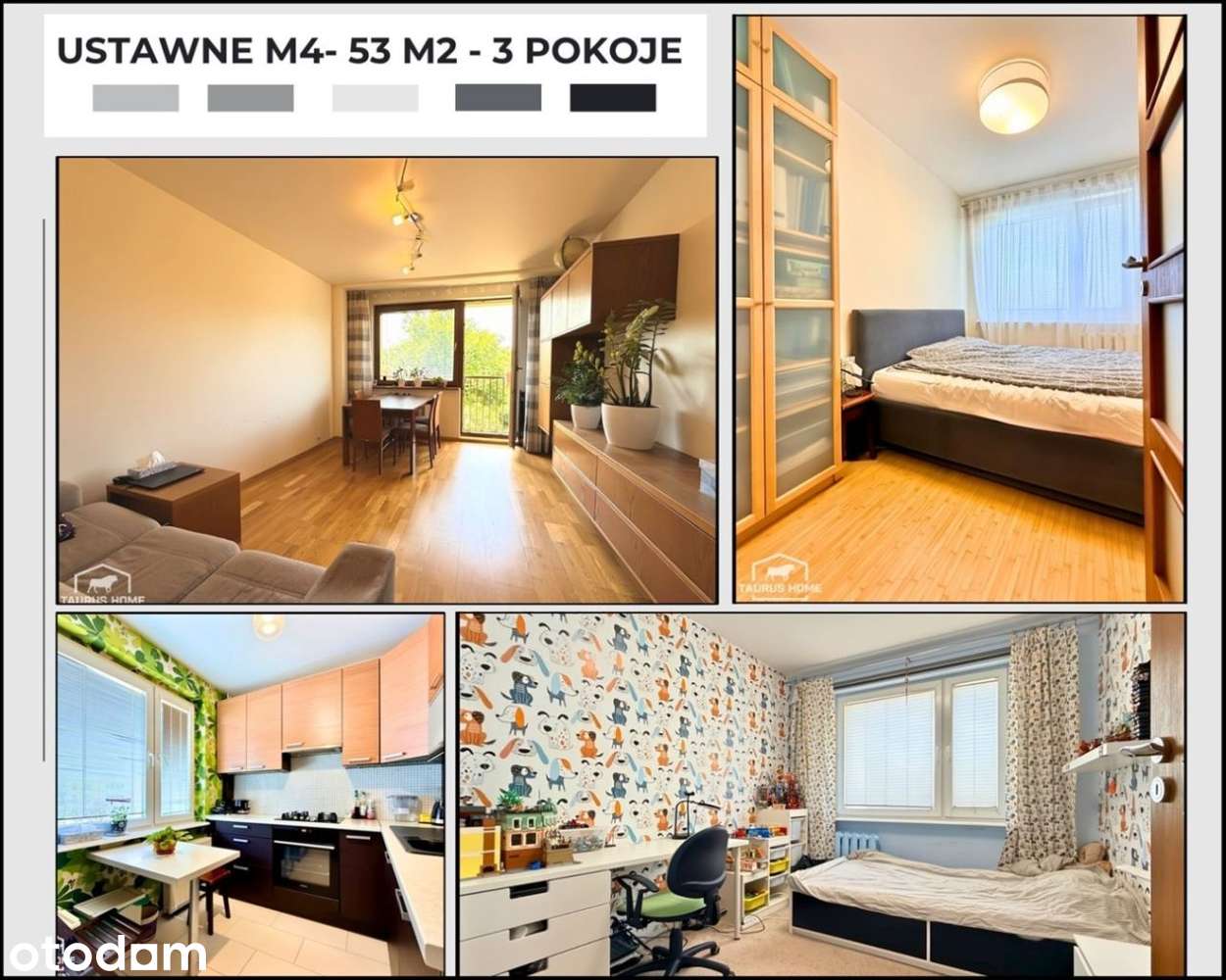 Zadbane M4- 53 M2- Do Wprowadzenia -Sielec