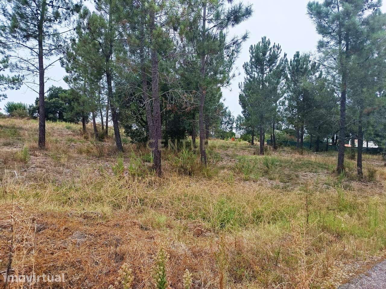 Terreno à Venda em Barca Nova, Tomar – 5.680 m² de Oportunidade! - Grande imagem: 2/7