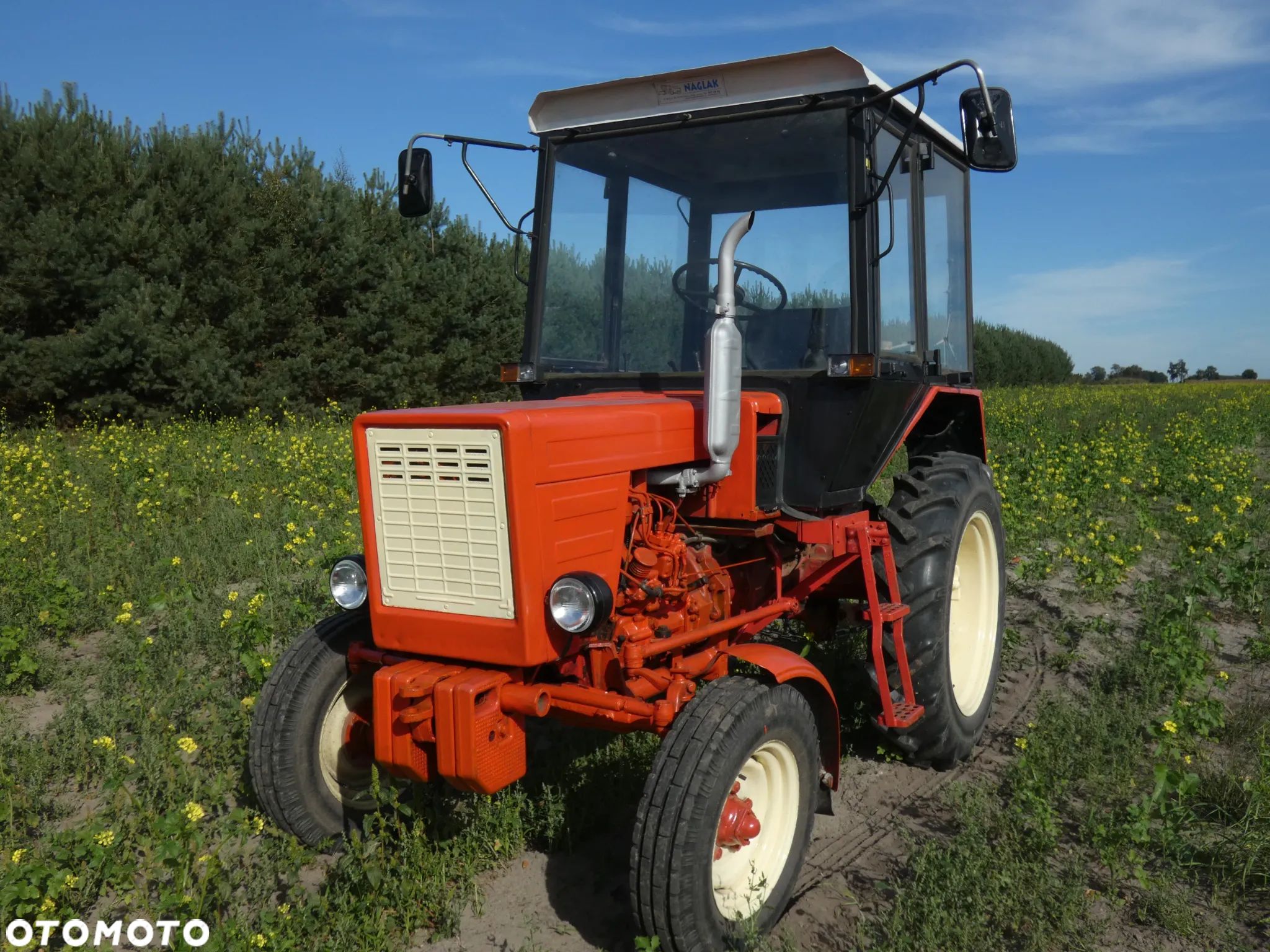 MTZ T 25 - 1