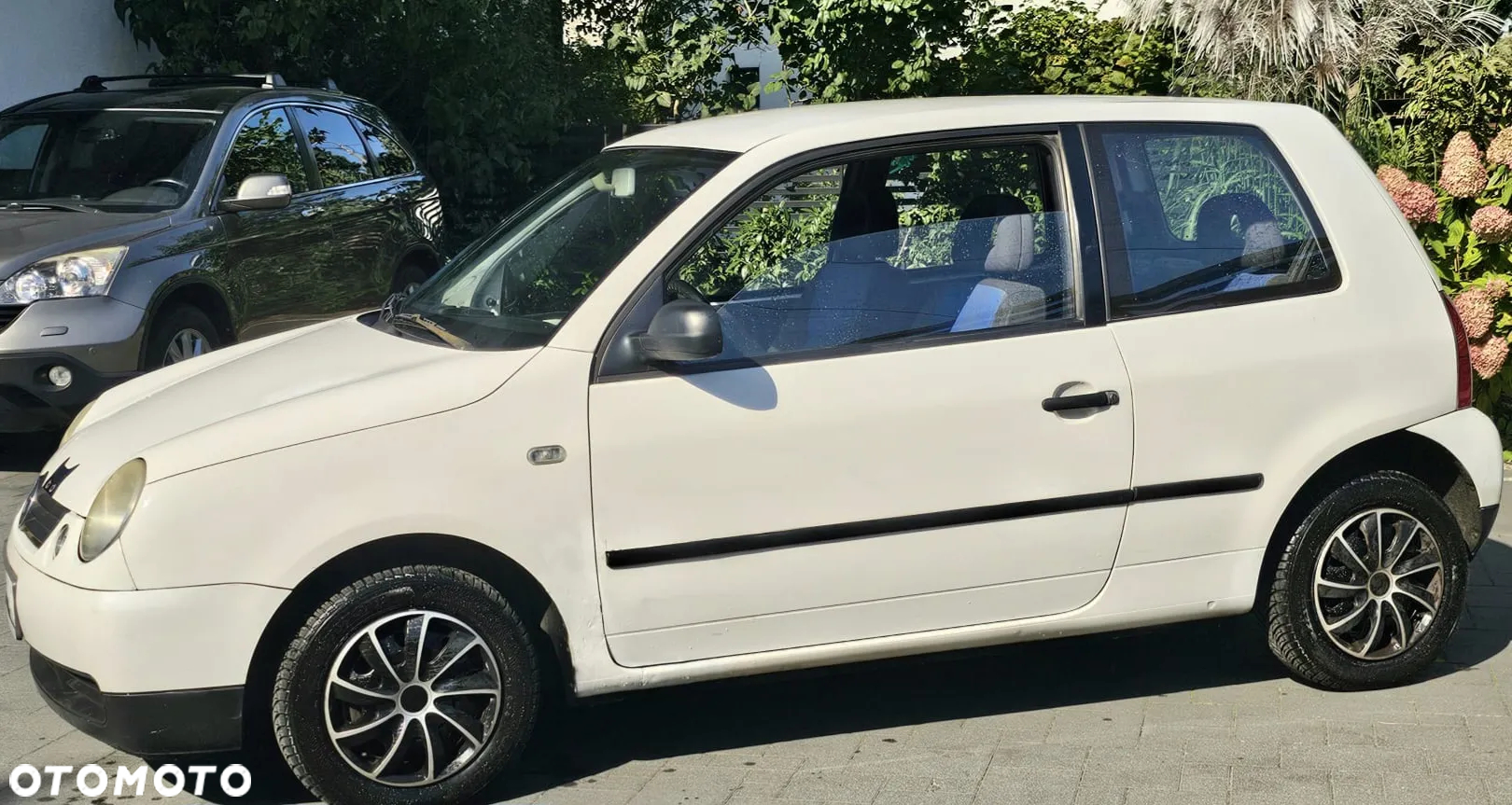 Volkswagen Lupo 1.0 - 6