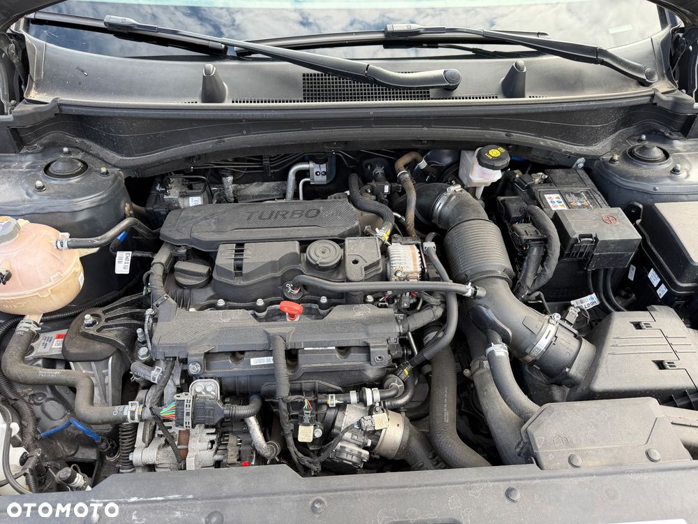 Kia Sportage - 25