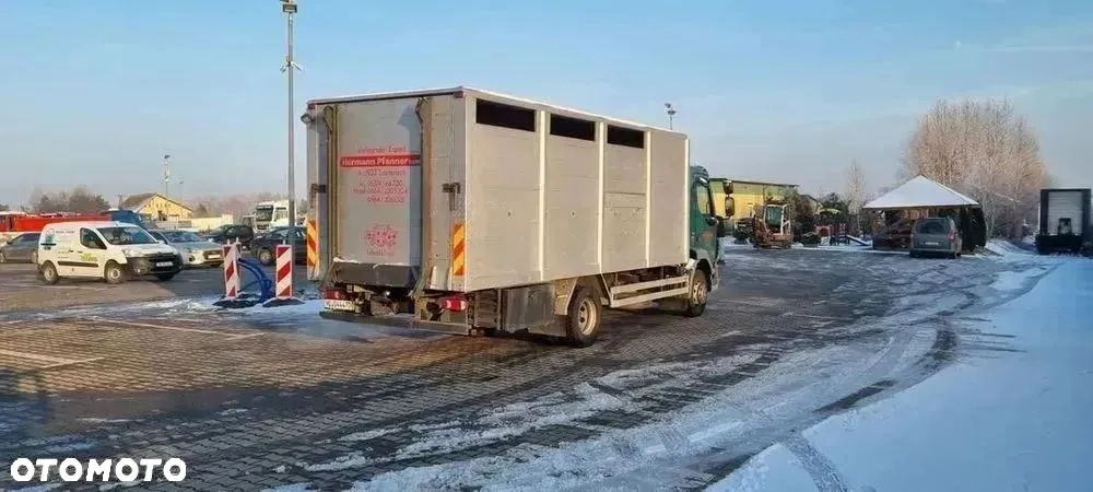 DAF LF55.250 do przewozu zwierząt - 8