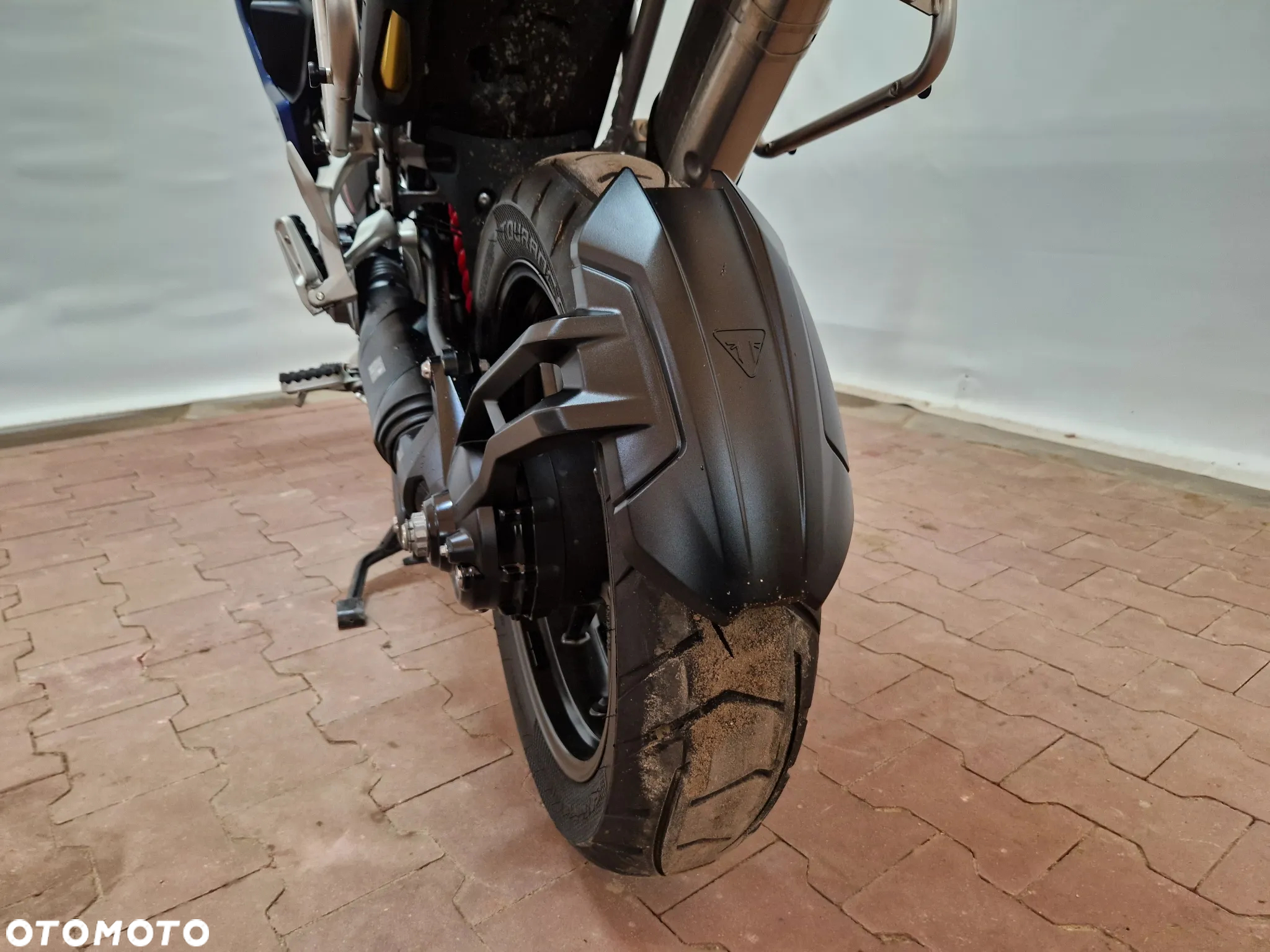 Triumph Tiger - 31