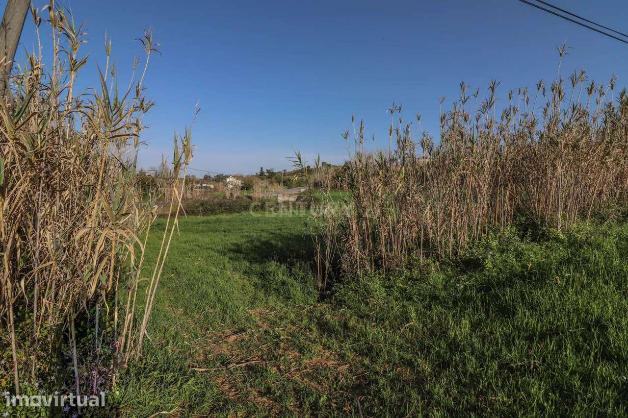 Terreno possibilidade Construção | 68.205m2 | Montemor-o-Velho - Grande imagem: 4/22