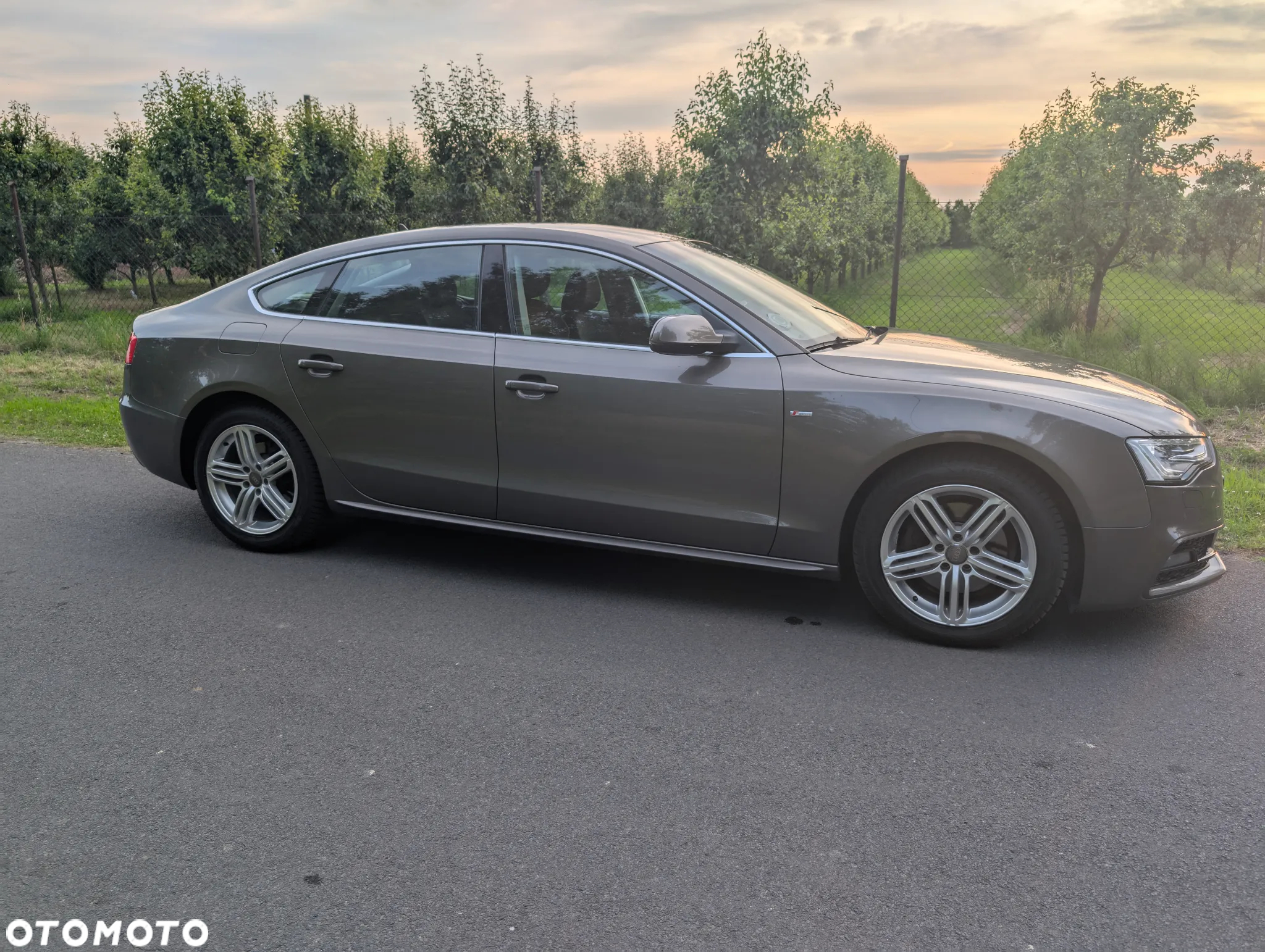 Audi A5 - 5