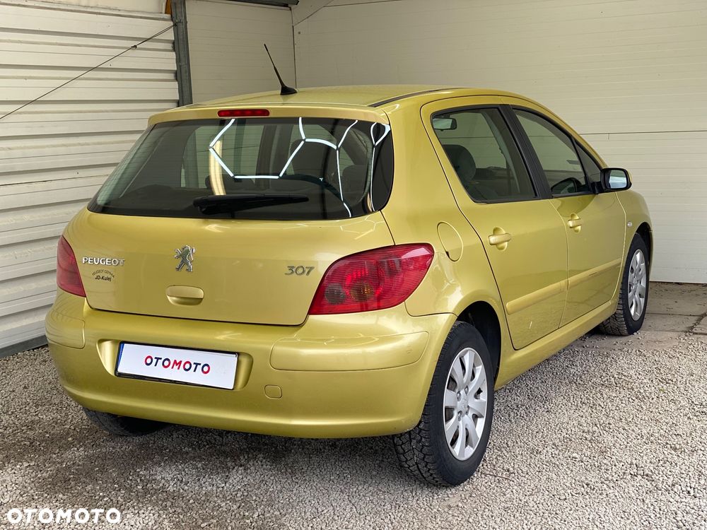 Peugeot 307 1.6 Premium - 27