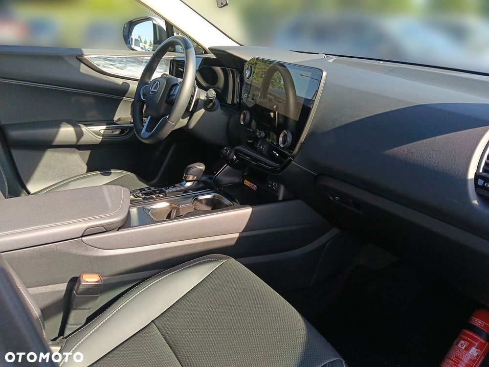 Lexus NX - 10