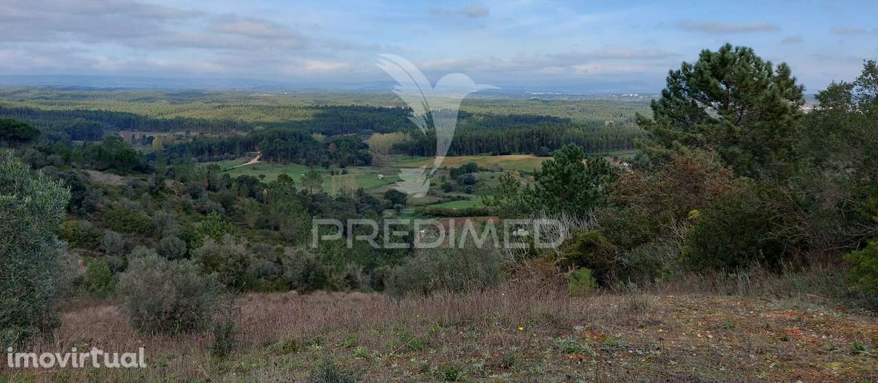 Terreno Rústico com 25.560 m2, conselho de Santarém. - Grande imagem: 5/24
