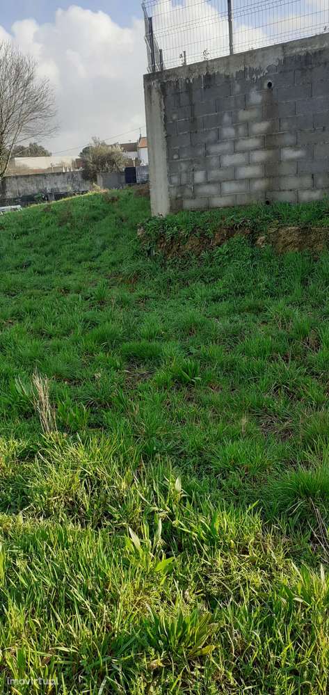 Terreno urbano nas Caldas de S. Jorge - Grande imagem: 5/15