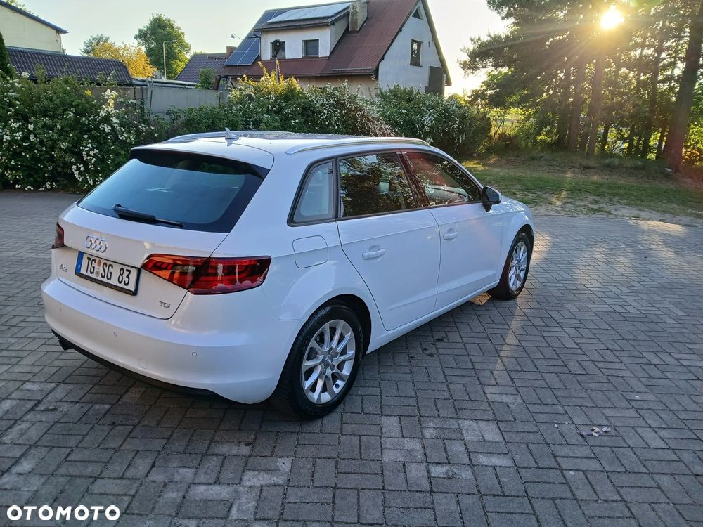 Audi A3 Sportback 1.6 TDI Attraction - 33