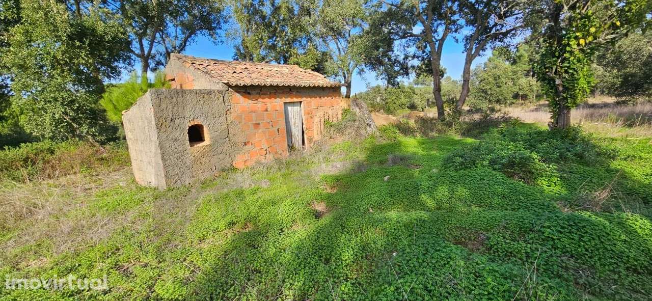 Terreno com Projeto para Moradia V6 - Grande imagem: 4/18