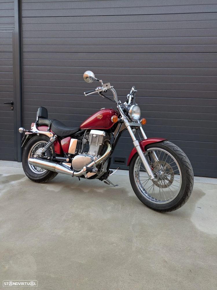 Suzuki LS Savage - 7
